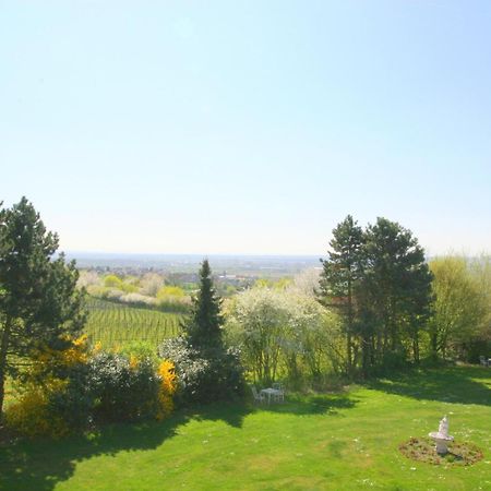 Krone am Park Alzenau Bagian luar foto